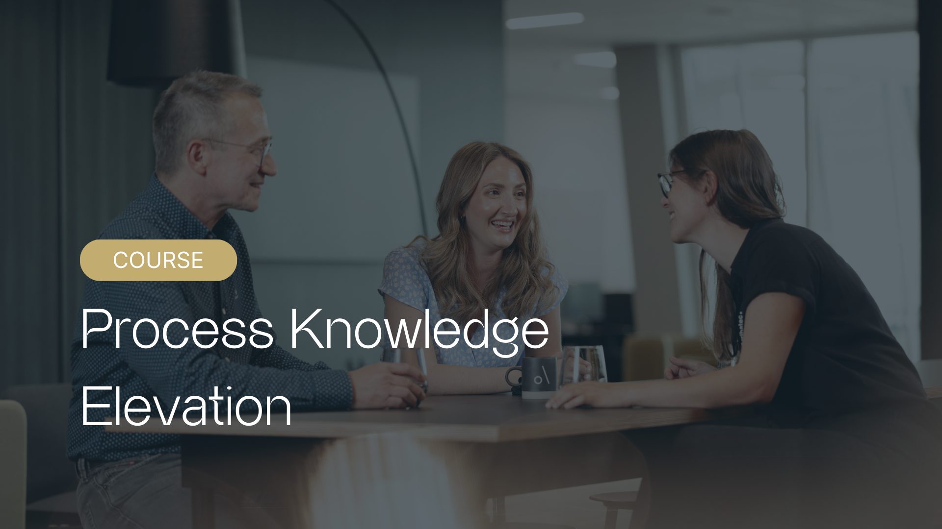 Process Knowledge Elevation Course