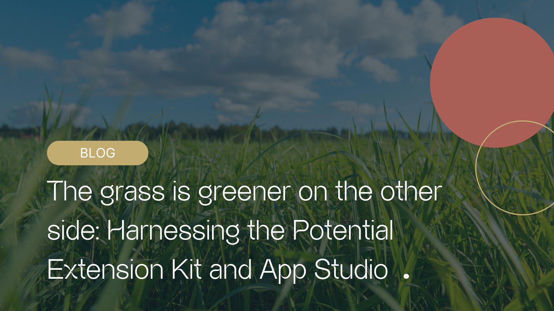 The grass is greener on the other side: Leverathe Potential Extension Kit and App Studio