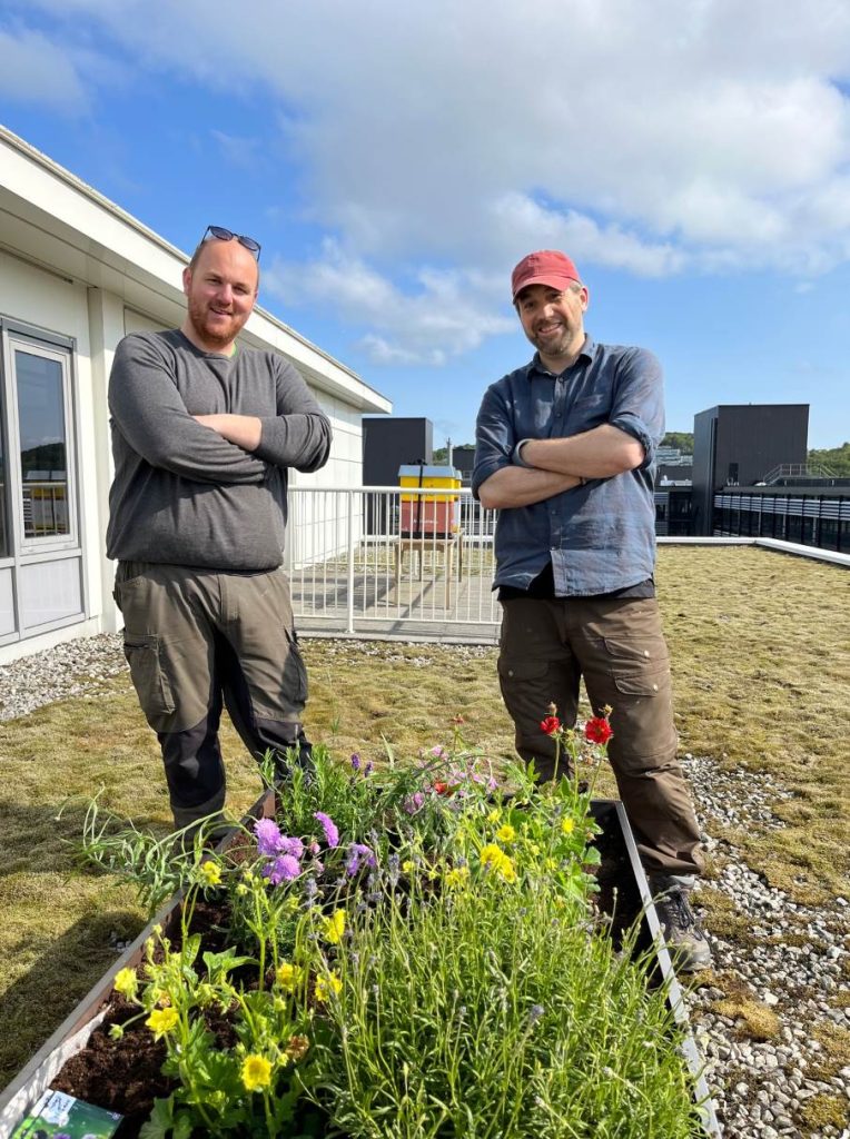 ESG Arribatec stock exchange planting flowers for the bees