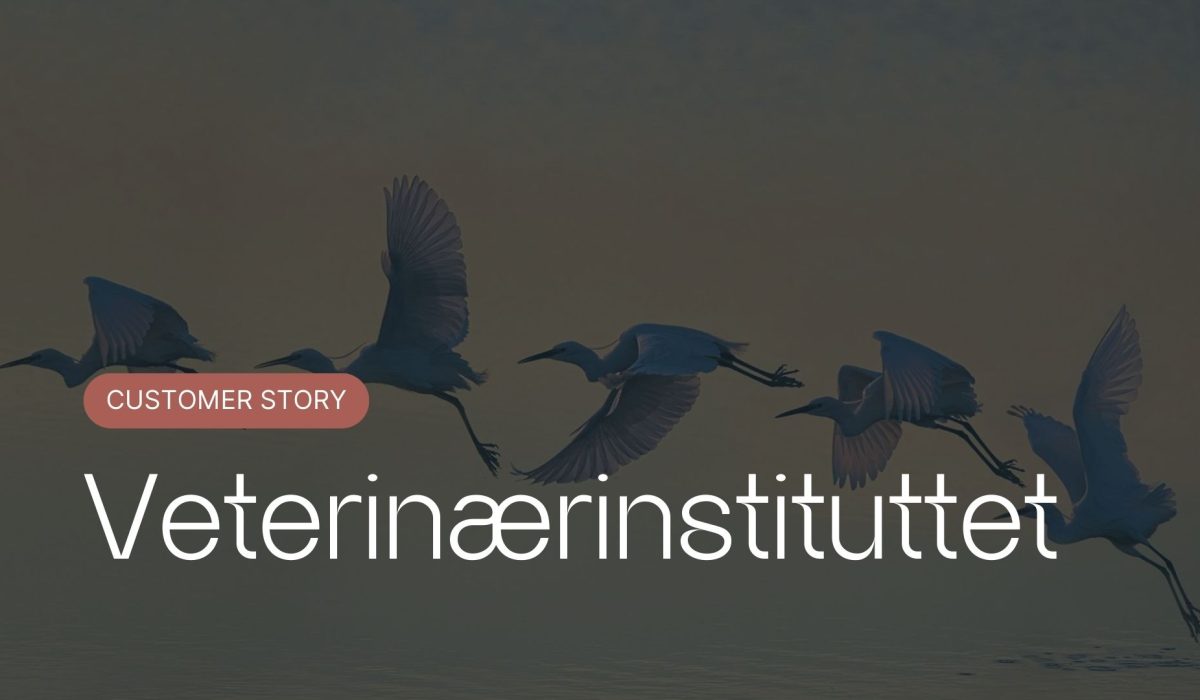 Veterinærinstituttet case study instipro