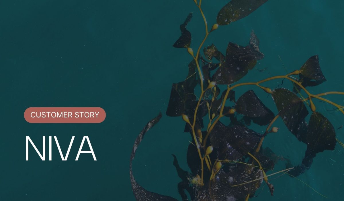 Arribatec Business Services 19 NIVA InstiPro case study