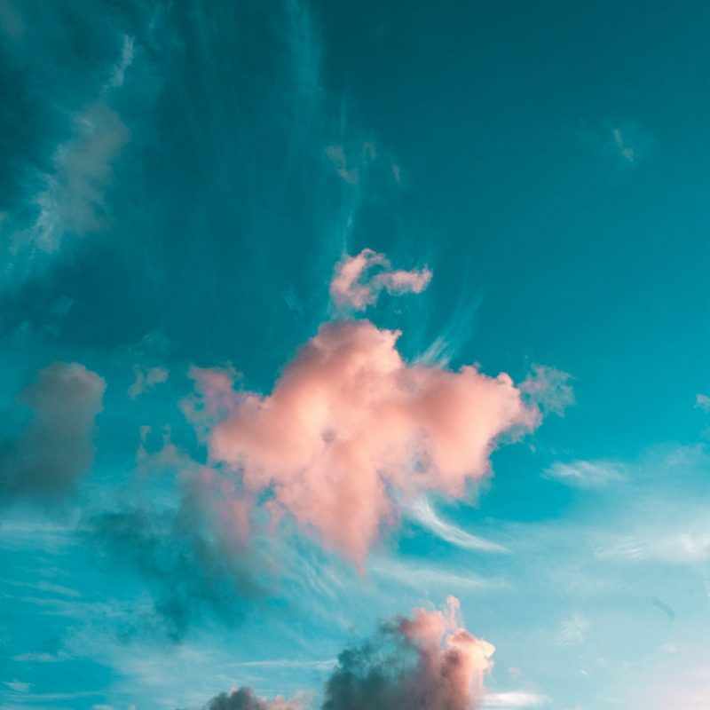 kenrick-mills-3-EiAnsIXps-unsplash kenrick-mills-3-EiAnsIXps-unsplash