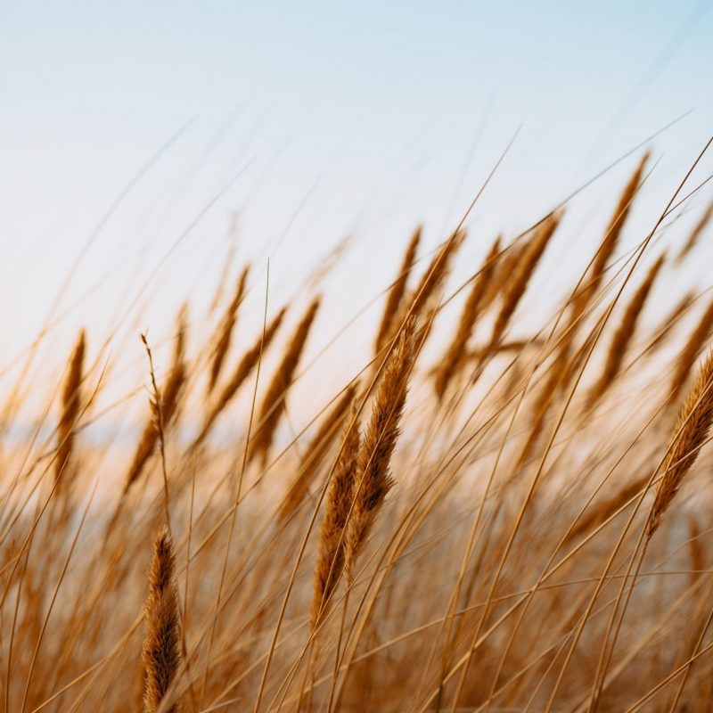 kristaps-ungurs-SI7BhmpahNM-unsplash Non-profit solutions